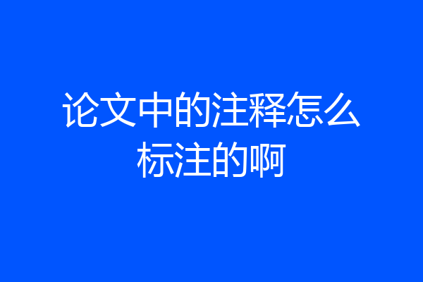 论文中的注释怎么标注的啊