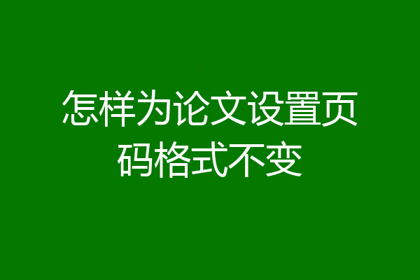 怎样为论文设置页码格式不变