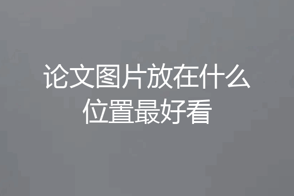 论文图片放在什么位置最好看