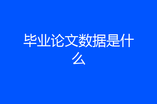 毕业论文数据是什么