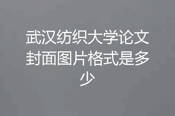 武汉纺织大学论文封面图片格式是多少