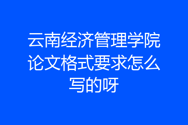 云南经济管理学院论文格式要求怎么写的呀