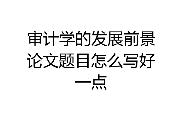 审计学的发展前景论文题目怎么写好一点
