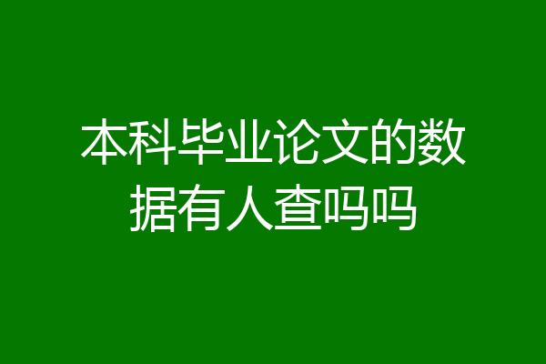 本科毕业论文的数据有人查吗吗