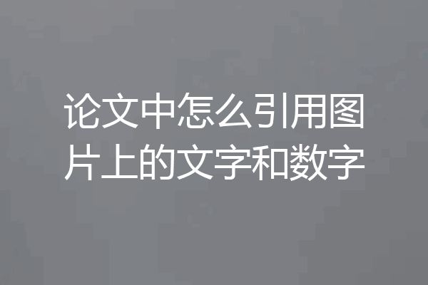 论文中怎么引用图片上的文字和数字