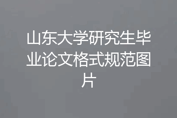 山东大学研究生毕业论文格式规范图片