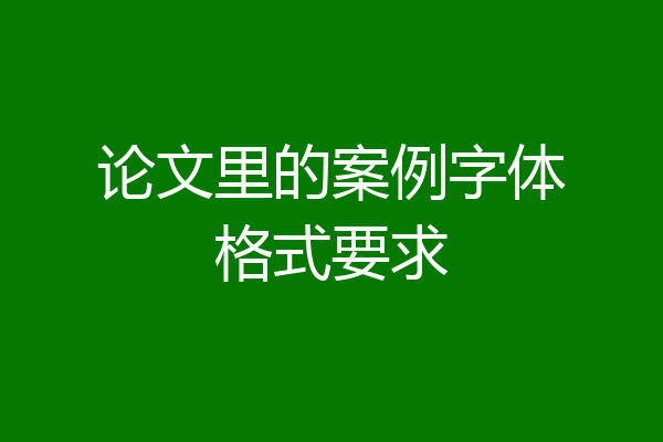 论文里的案例字体格式要求