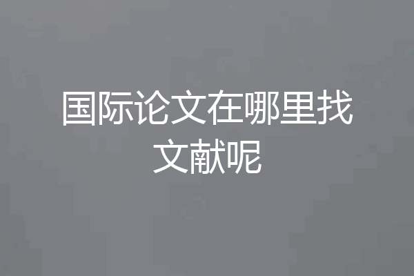 国际论文在哪里找文献呢