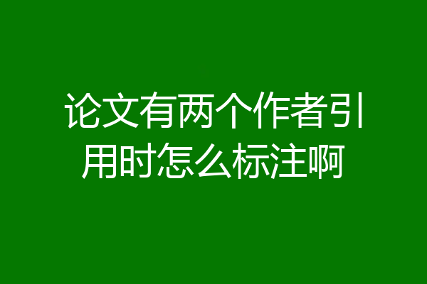 论文有两个作者引用时怎么标注啊