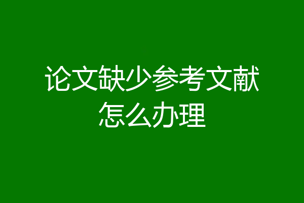 论文缺少参考文献怎么办理