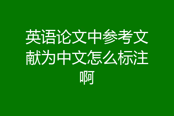 英语论文中参考文献为中文怎么标注啊