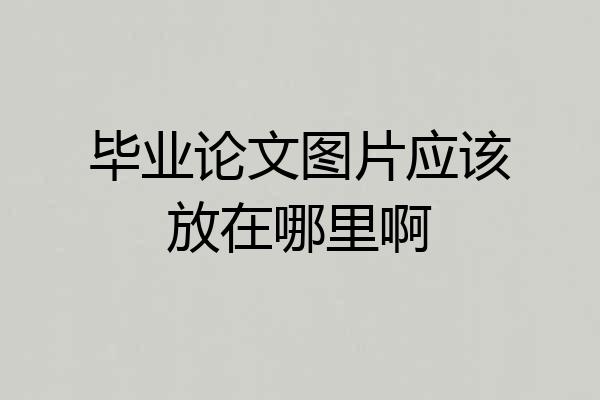 毕业论文图片应该放在哪里啊