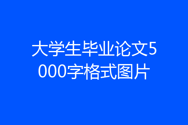 大学生毕业论文5000字格式图片