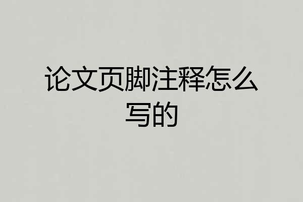 论文页脚注释怎么写的
