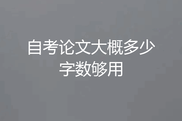 自考论文大概多少字数够用