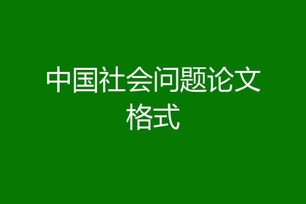 中国社会问题论文格式