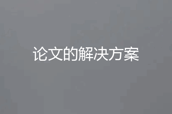 论文的解决方案