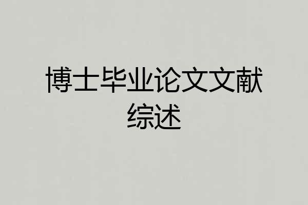 博士毕业论文文献综述