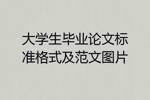 大学生毕业论文标准格式及范文图片