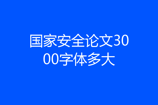 国家安全论文3000字体多大