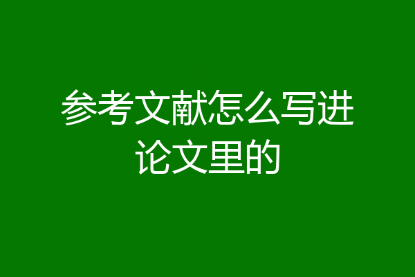 参考文献怎么写进论文里的