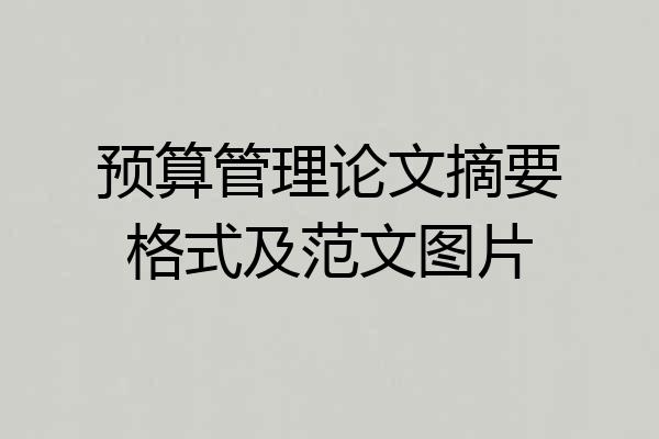 预算管理论文摘要格式及范文图片