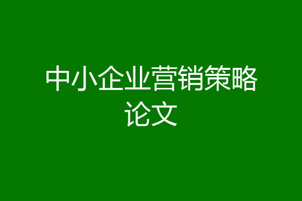 中小企业营销策略论文