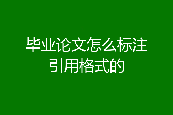 毕业论文怎么标注引用格式的