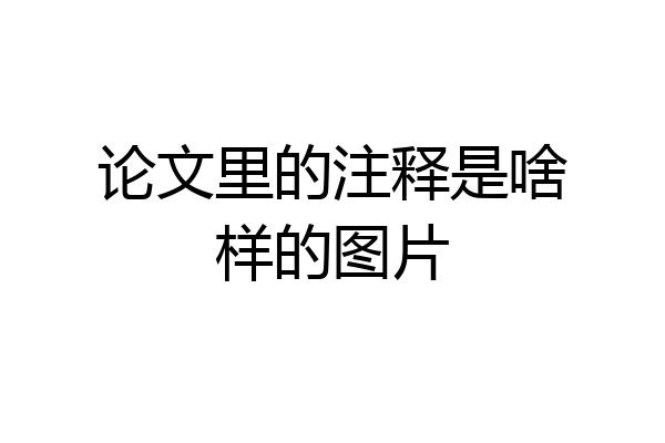 论文里的注释是啥样的图片
