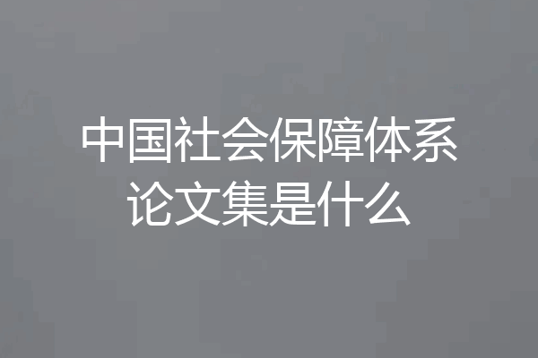 中国社会保障体系论文集是什么