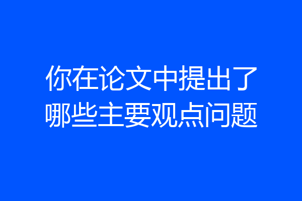 你在论文中提出了哪些主要观点问题