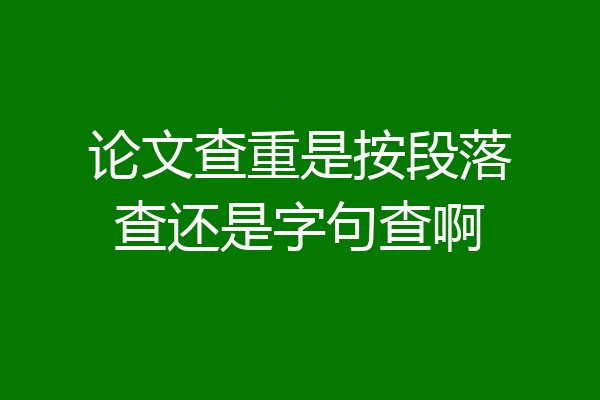 论文查重是按段落查还是字句查啊