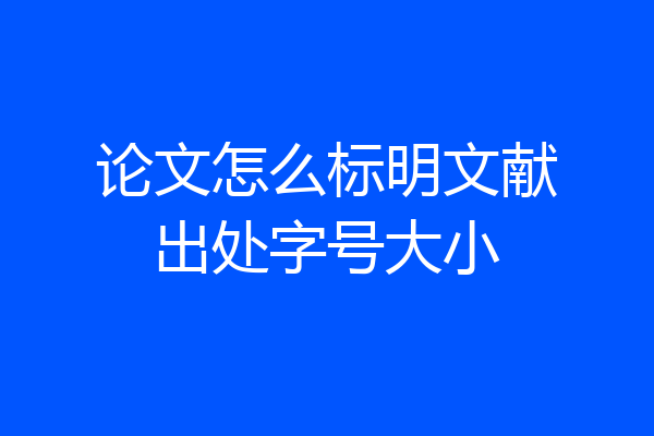 论文怎么标明文献出处字号大小