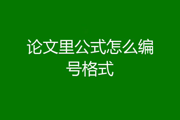 论文里公式怎么编号格式