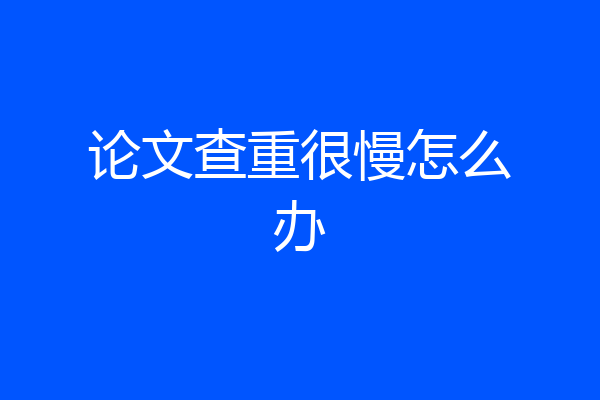 论文查重很慢怎么办