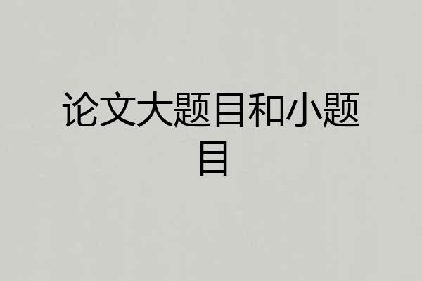 论文大题目和小题目