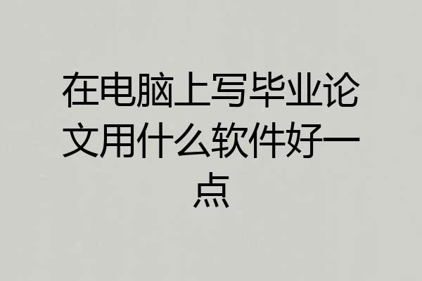 在电脑上写毕业论文用什么软件好一点