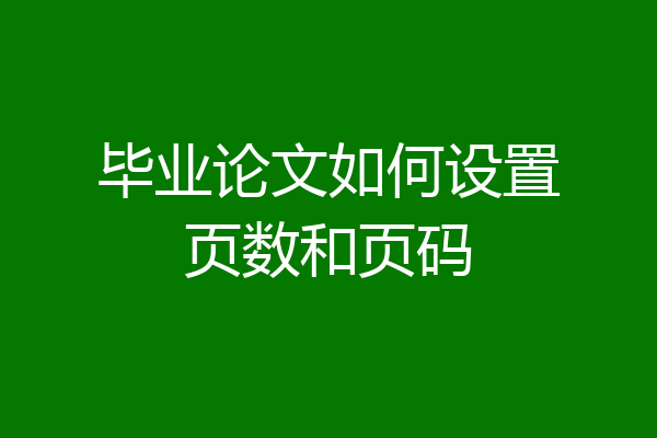 毕业论文如何设置页数和页码