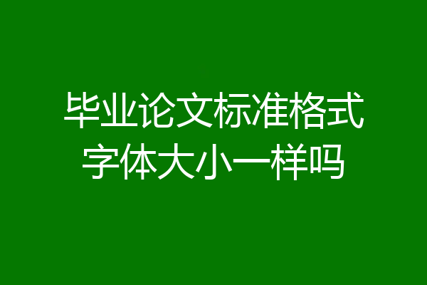 毕业论文标准格式字体大小一样吗
