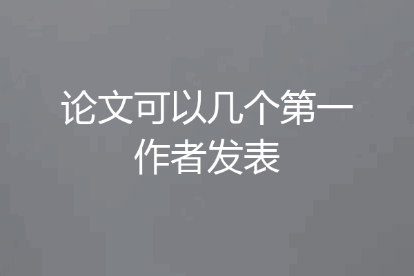 论文可以几个第一作者发表