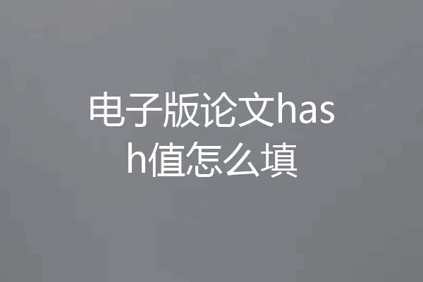电子版论文hash值怎么填