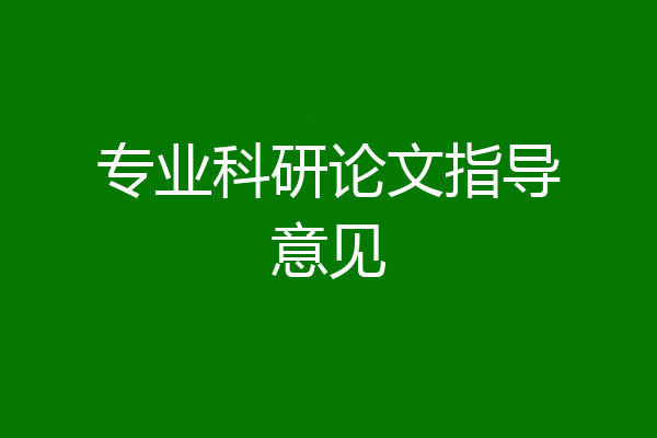 专业科研论文指导意见