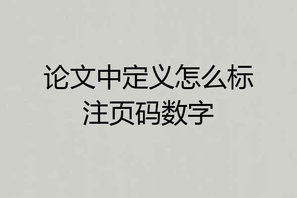 论文中定义怎么标注页码数字