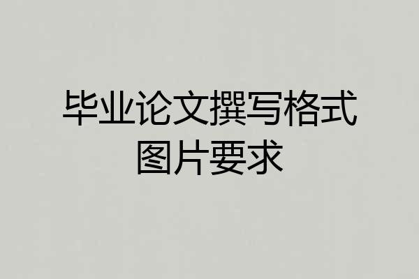 毕业论文撰写格式图片要求