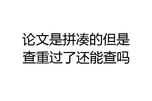 论文是拼凑的但是查重过了还能查吗