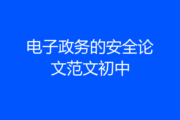 电子政务的安全论文范文初中