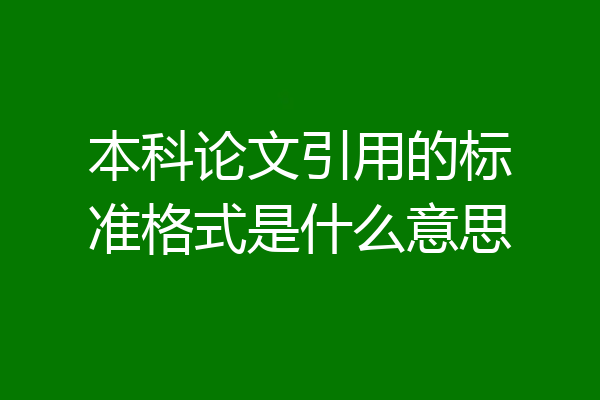 本科论文引用的标准格式是什么意思