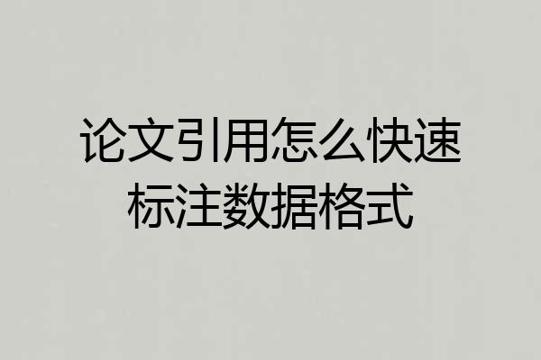 论文引用怎么快速标注数据格式