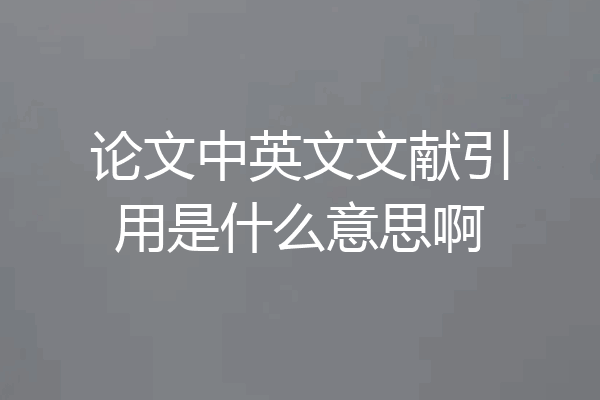 论文中英文文献引用是什么意思啊