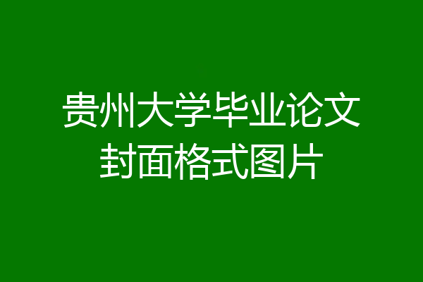 贵州大学毕业论文封面格式图片